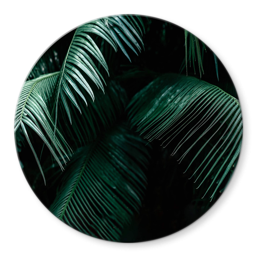Glasbild Tropische Botanik - Rund