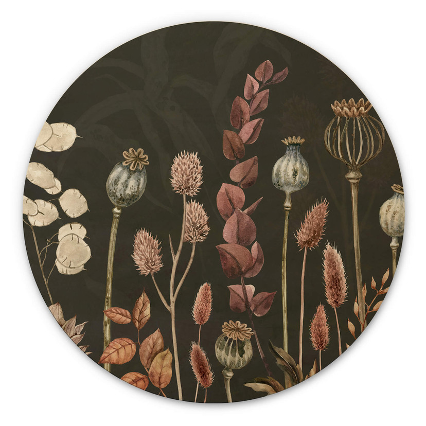 Billede af træ Sir Edward - tørrede blomster oliven - rund