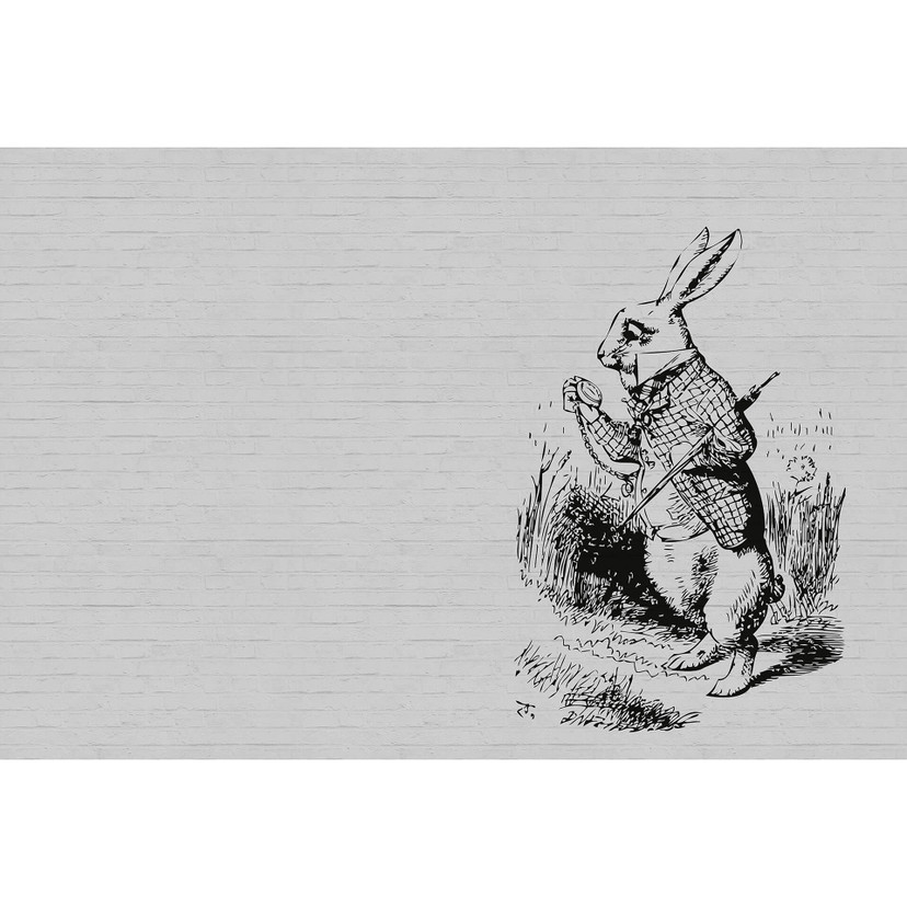 Fotomural Paredes de Patel bunny 1