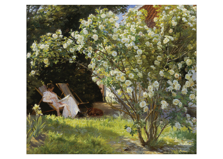 Poster Marie in the Garden (The Roses) Kunstdruck, Peder Severin Kroyer (50 x 40 cm)