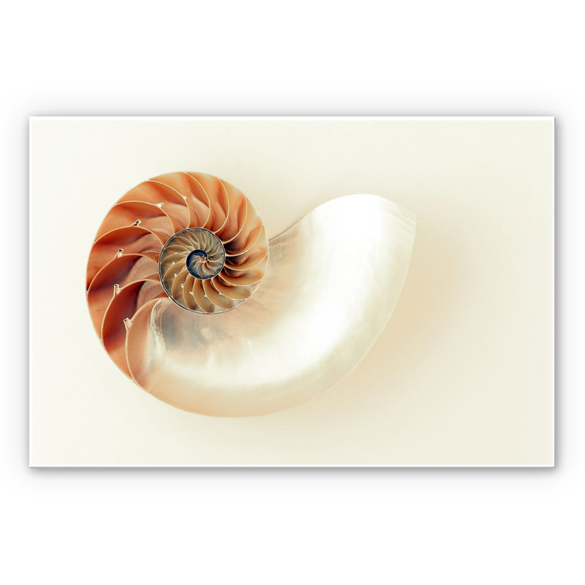 Tableau Forex - Nautilus