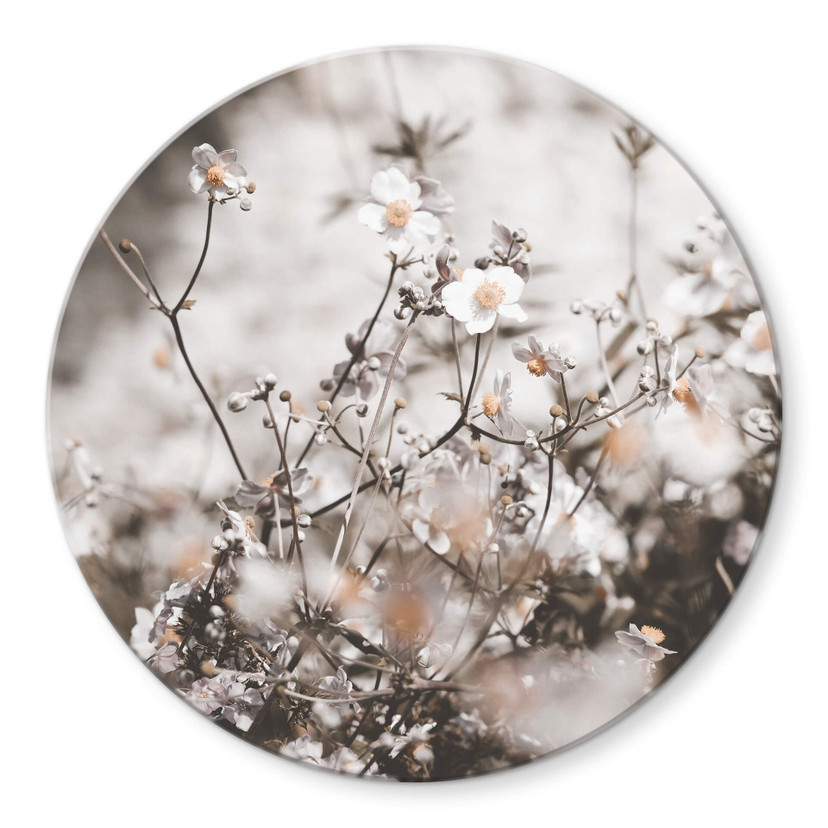 Tableau sur verre Annie - Fleurs sauvages - Rond