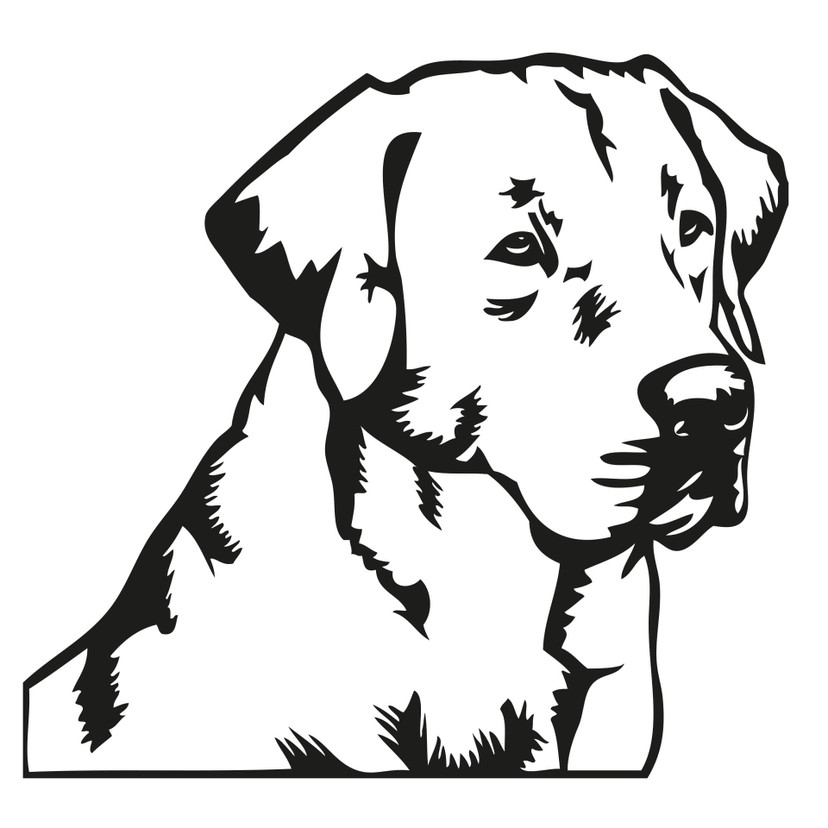Sticker mural - Golden retriever