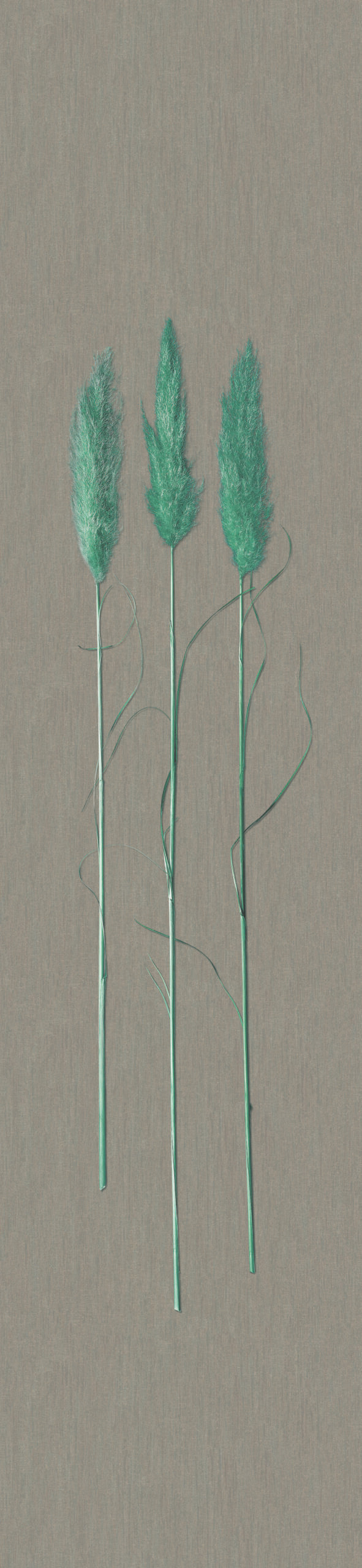Non-woven tapet Naturlig Opulens Beige Grafisk 3,30 x 0,70 cm