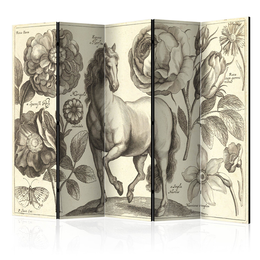 Screen room divider - Hest, 5-delt - 225x172 cm