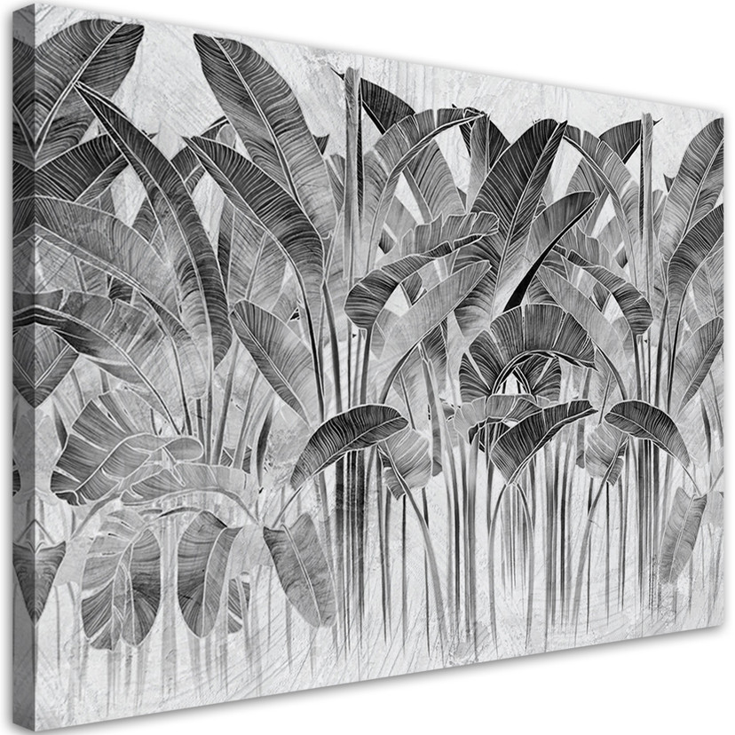 Canvasbillede, Grå bananblade