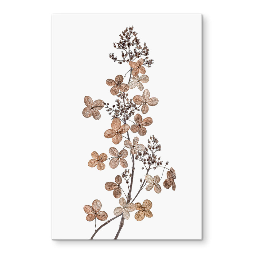 Tableau en verre Disher - Hortencias