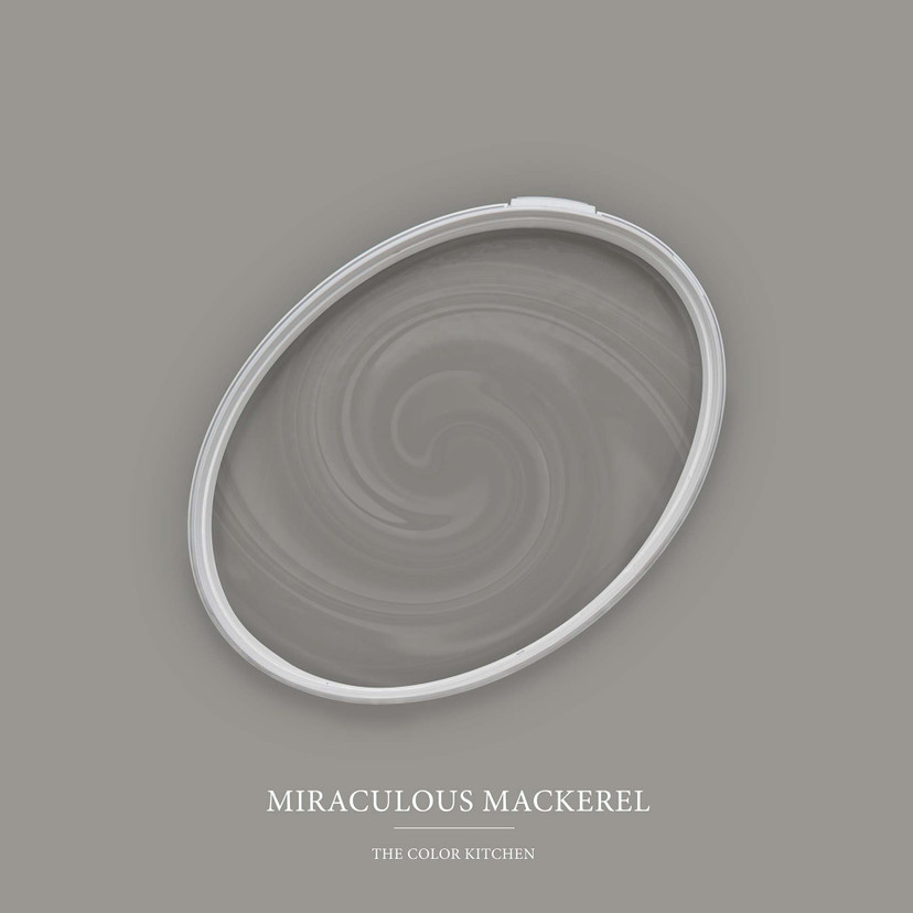Pintura interior gris satinado mate I Miraculous Mackerel | crear un ambiente elegante y moderno | T