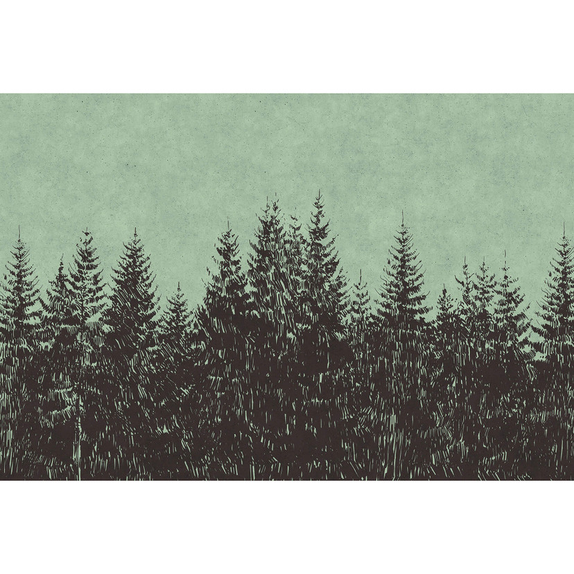 Fototapeta Livingwalls Walls by Patel czarny las 2