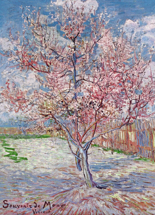 Plakat Souvenir de Mauve - Pink Peach Tree in Blossom, 1888 Kunsttryk, Vincent van Gogh (24 x 30 cm)