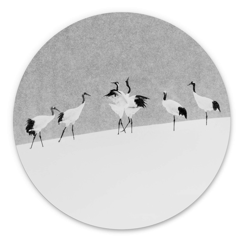 Tableau sur alu-Dibond rond Marchegiani - Des grues dans la neige