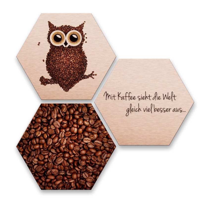 Hexagon - Alu-Dibond-Kupfereffekt - Kaffeeeule (3er Set)
