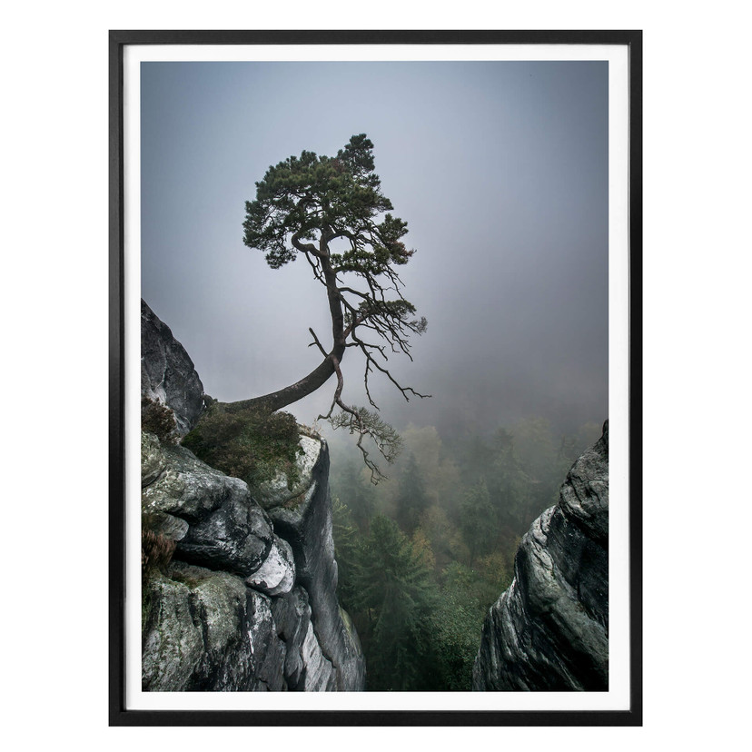 Poster Wonisch - Forces de la nature