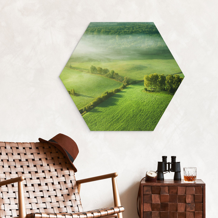Hexagon Wandbild Idyllische Felder im Nebel - Keller - Alu-Dibond