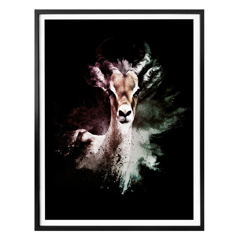 Plakat Hugonnard - Dzika eksplozja: Antylopa