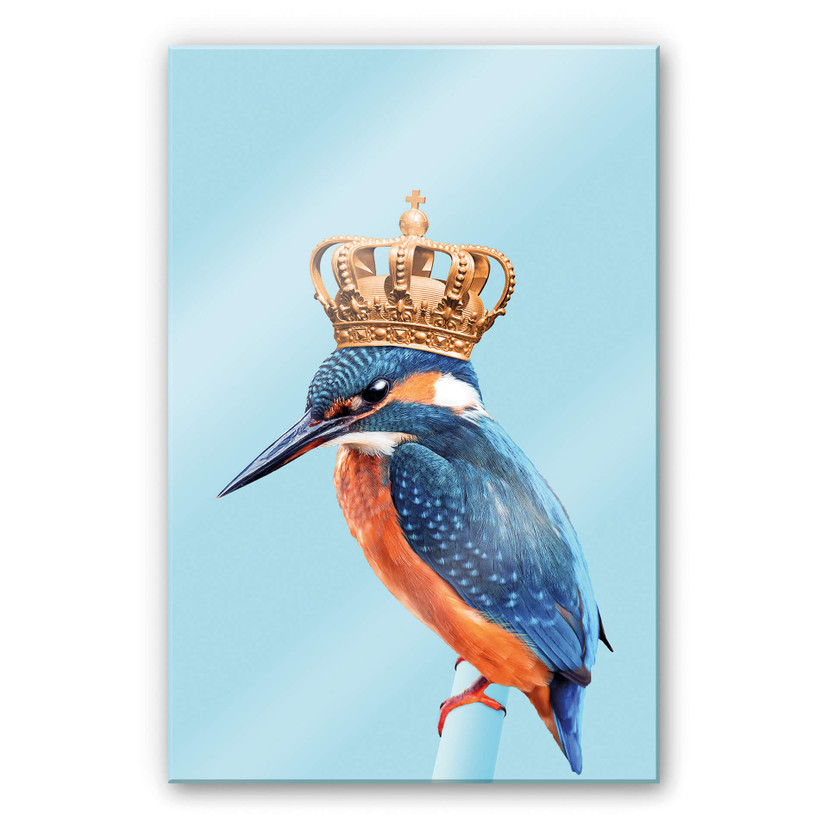 Akrylbillede Løs - Kingfisher