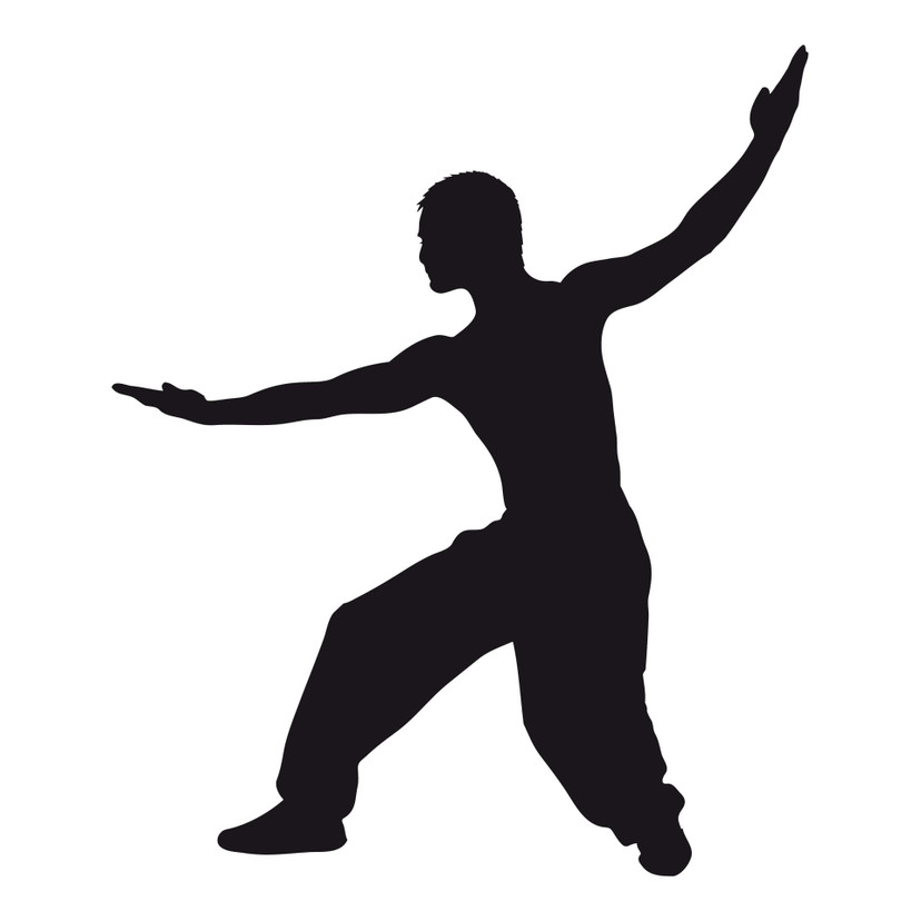 Muursticker Martial Arts 03