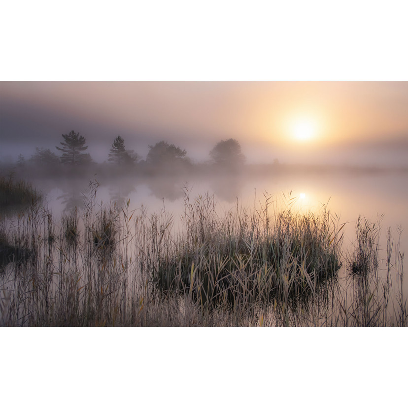 Papier peint photo Jour d'automne brumeux | papier peint paysage - Eisenmann