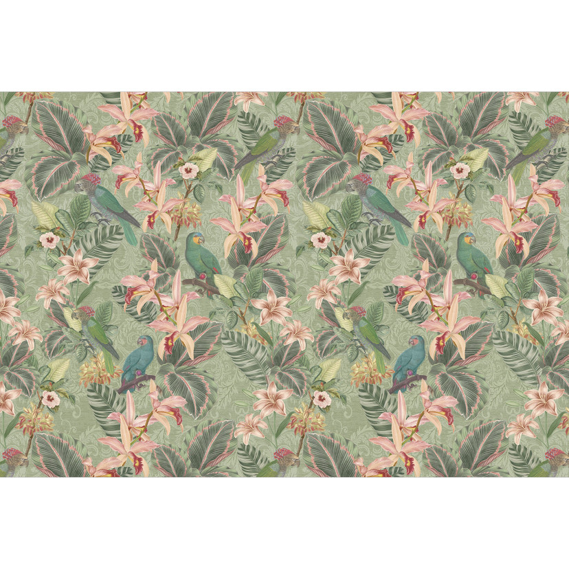 Papier peint jungle avec perroquets vert | Papier peint jungle - Bloomery Decor