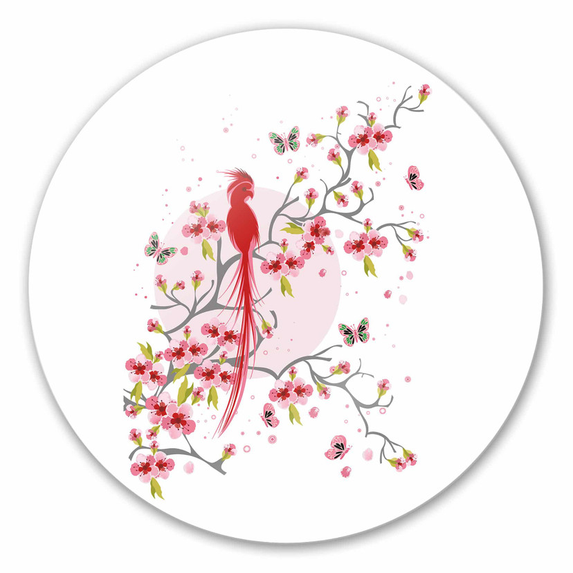 Tableau en verre - Oiseau du Paradis - rond