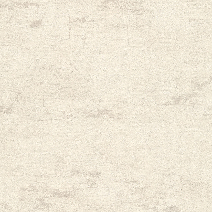 A.S. Création Vliesbehang Beton Concrete & More