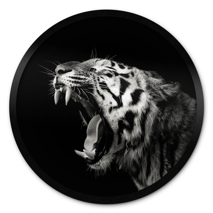 Poster Meermann - Der Tiger - Rund