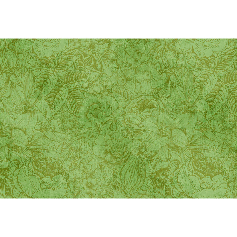 Fototapeta Livingwalls Walls by Patel botanica 2