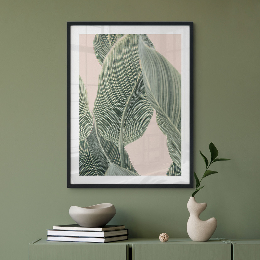 Plakat Calathea - Sisi & Seb
