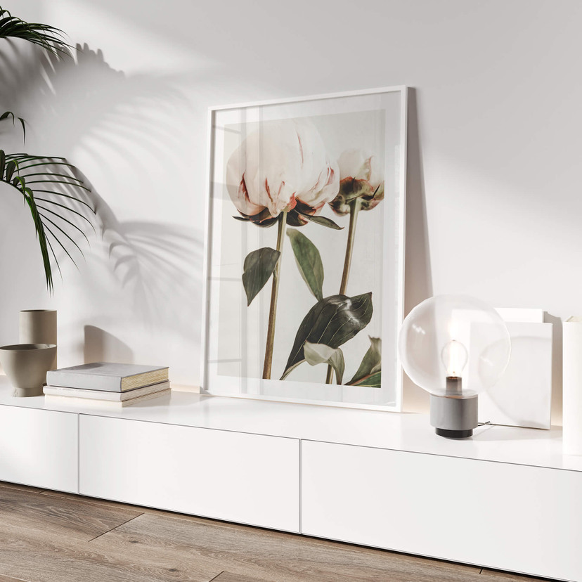 Plakat 1X Studio - Piwonie
