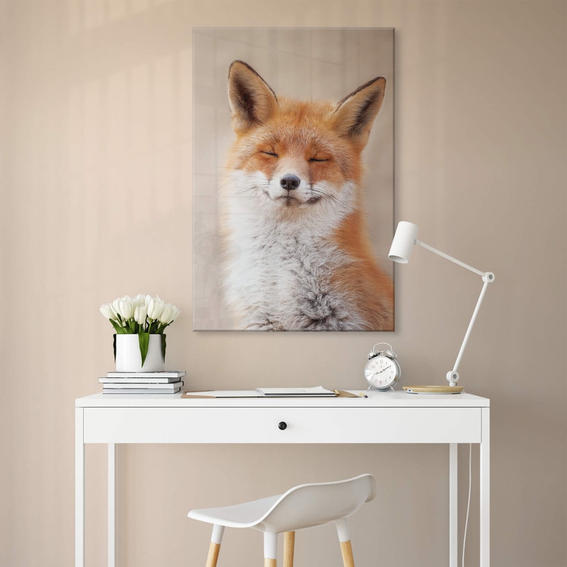 Acrylglasbild van Duijn - Zufriedener Fuchs