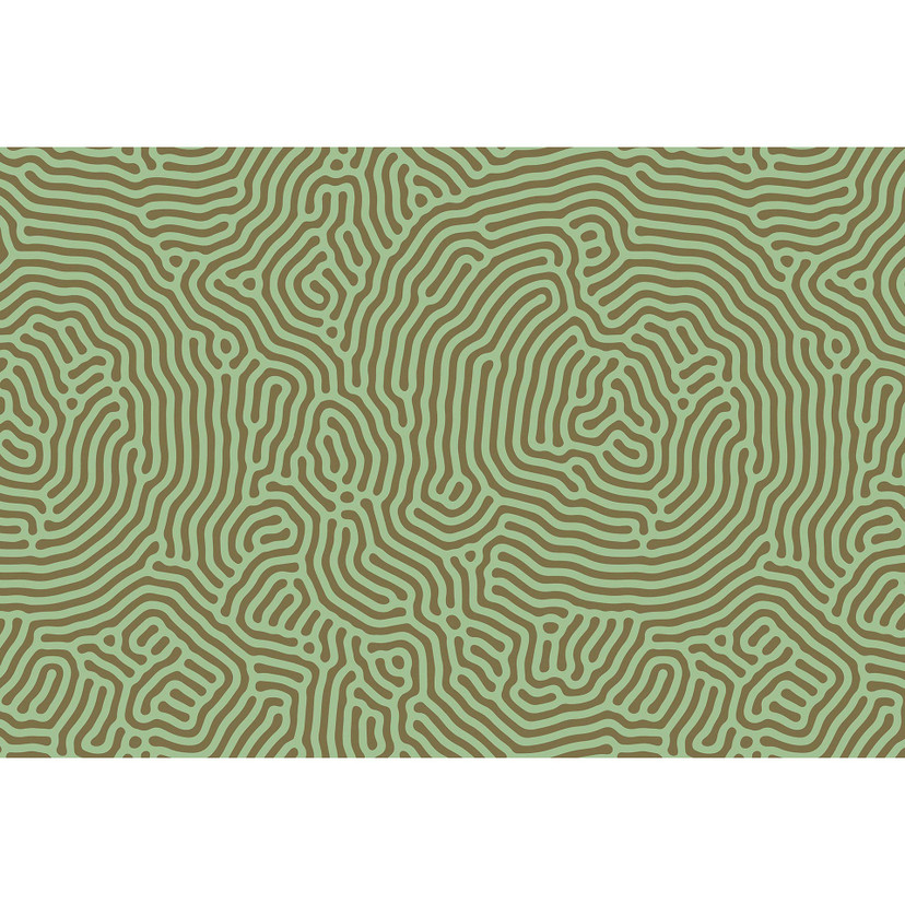 Fotomural Paredes de Patel 3 Sahel 1 verde, beige