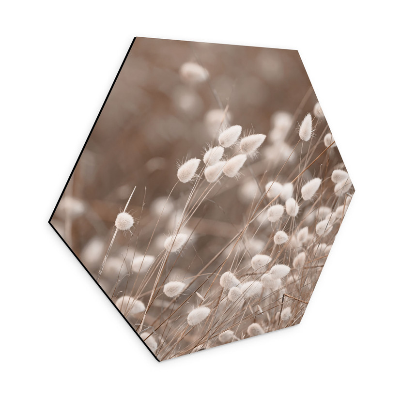 Hexagon Wandbild Zarte Gräser im Herbstlicht - Collins - Alu-Dibond