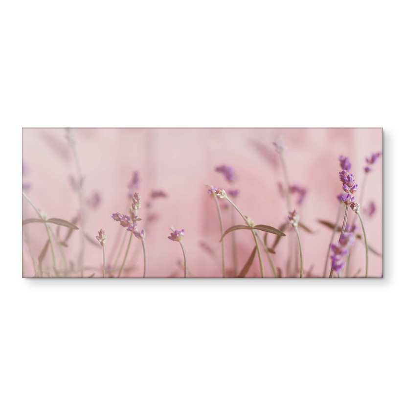 Rivestimento cucina Lavanda delicata