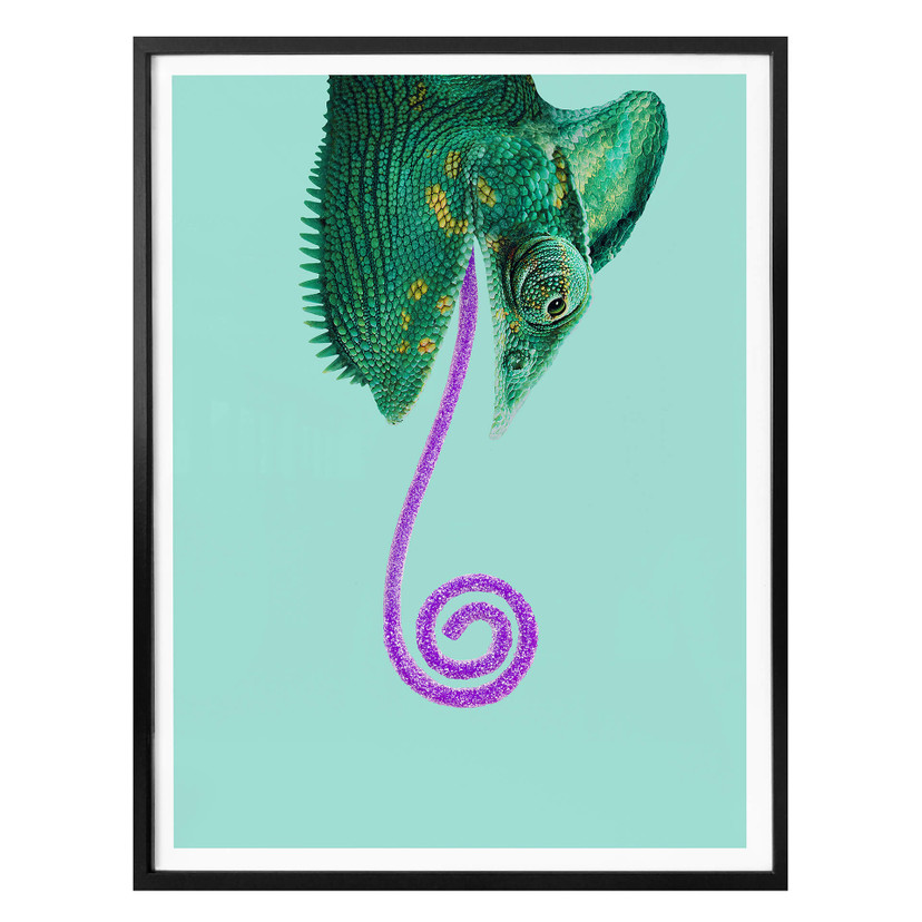 Plakat Loose - Cukierkowy kameleon