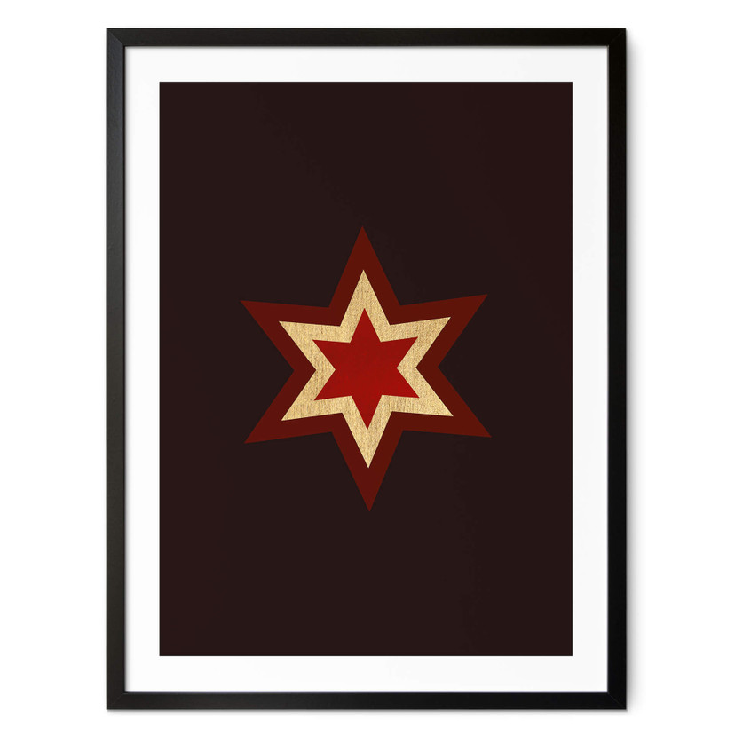 Plakat Kubistika - Poinsecja