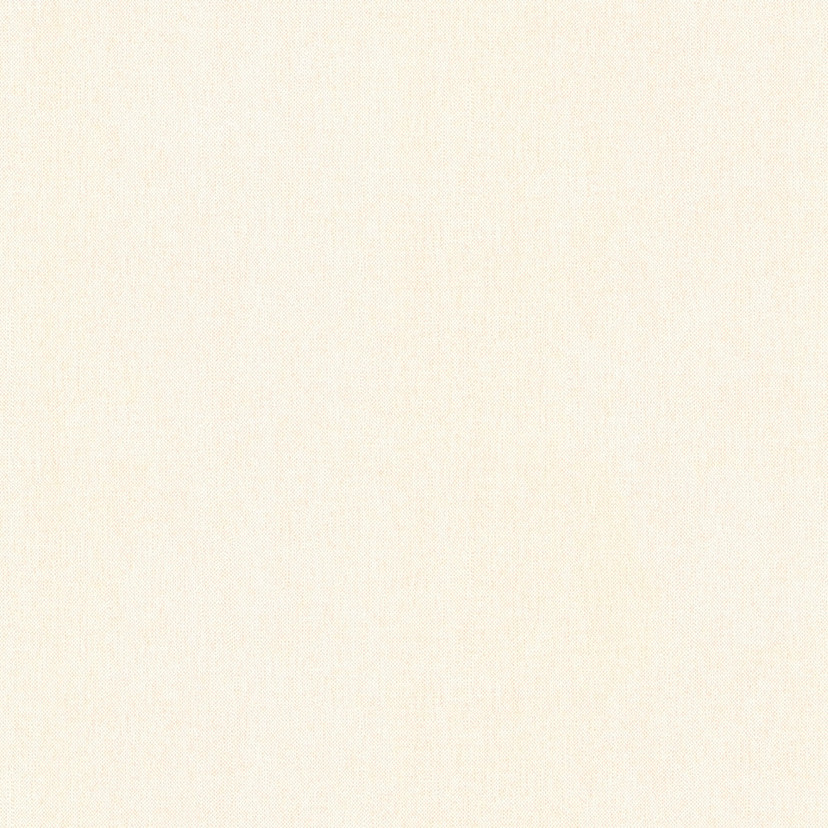 Architects Paper Floral Impression - Papier peint intissé uni, blanc