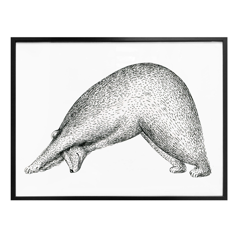 Plakat Kvilis - Yoga Bear 01