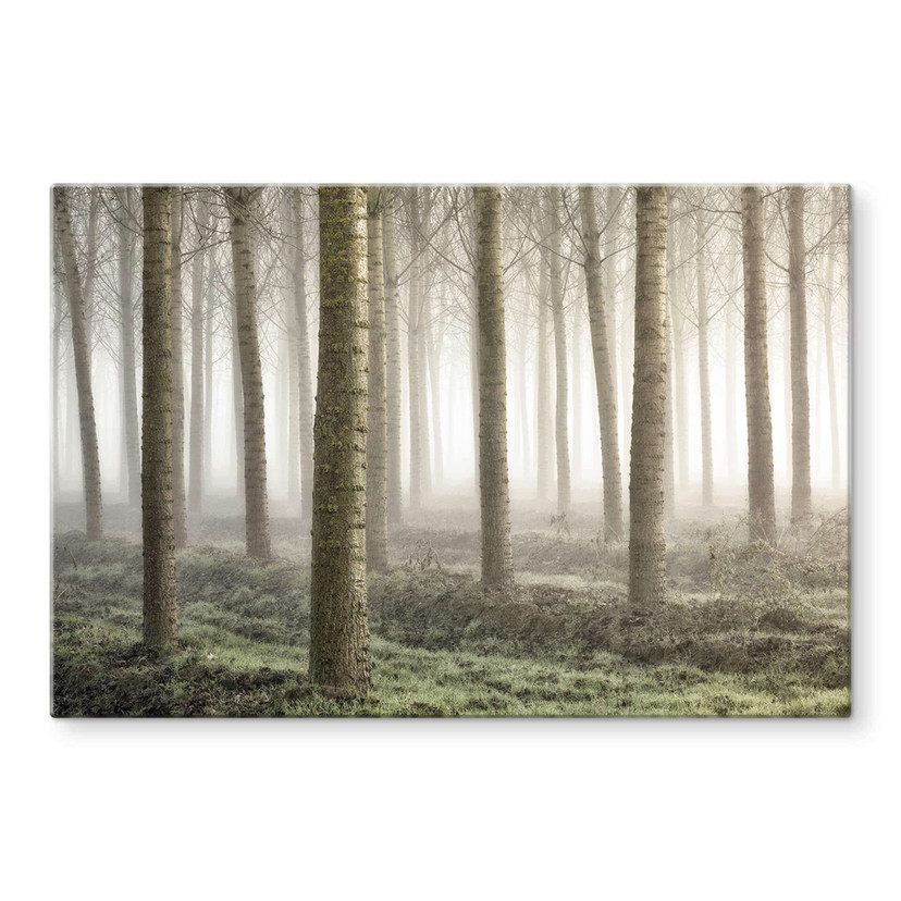 Tableau sur verre Carozzi - Forêt de conte de fées dans la brume matinale