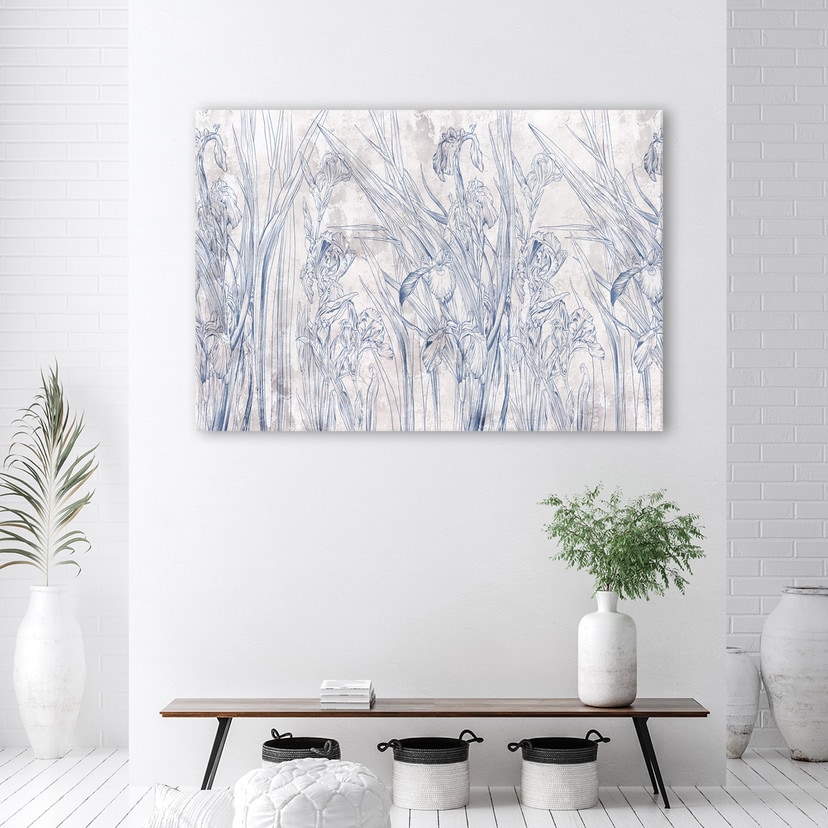 Canvasbillede, Iris blomst kontur blå
