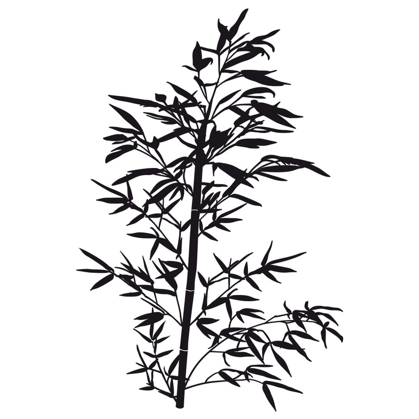 Wallsticker Bambus Plante