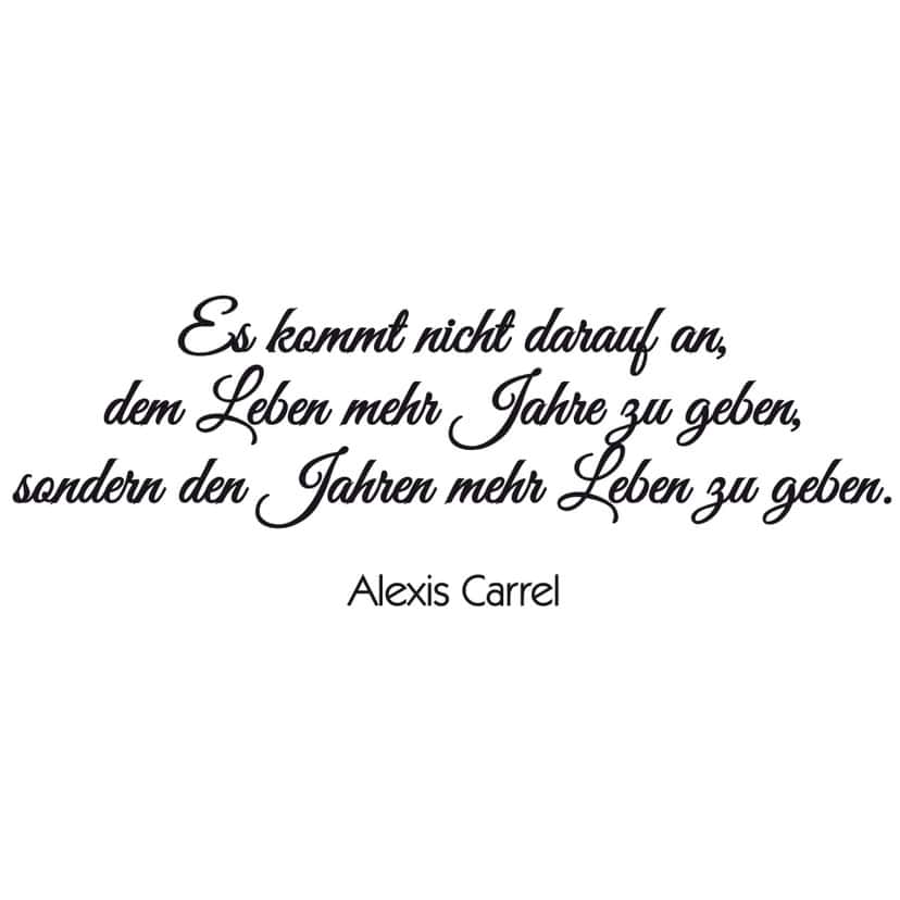 Wandtattoo Hortensie mit Wandspruch Set