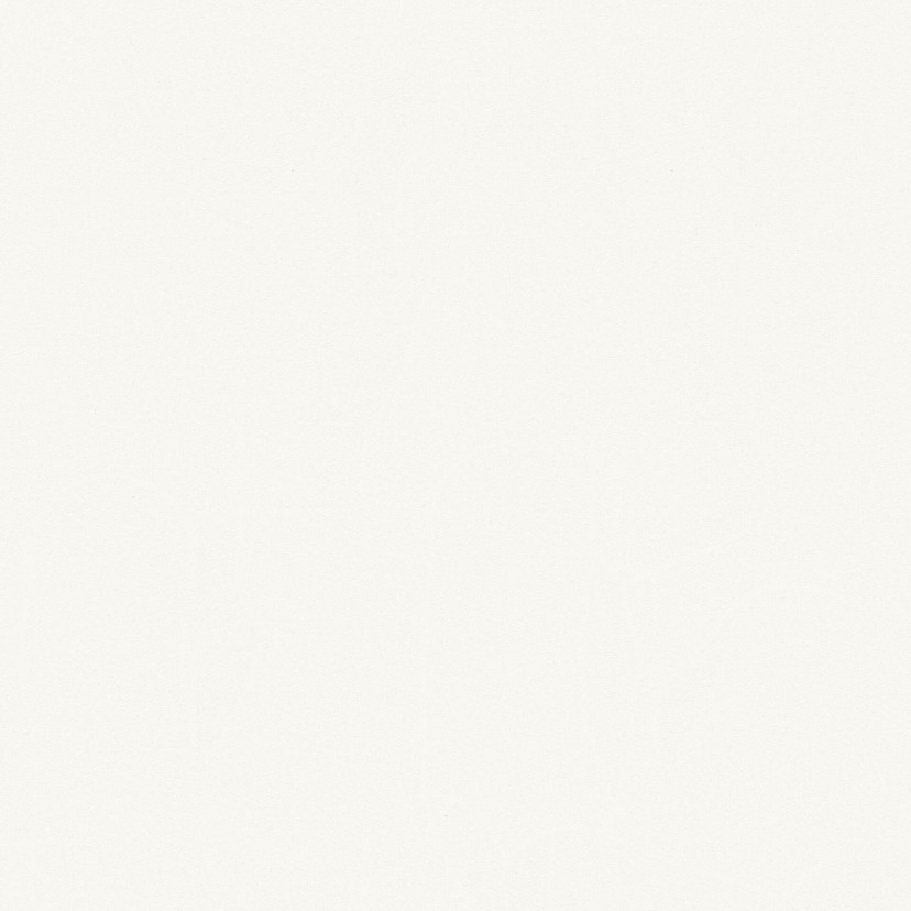 A.S. Création Scandinavian 2 Papier peint uni - Blanc