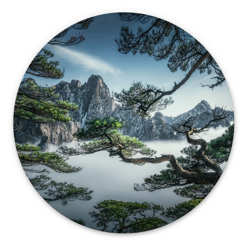 Vægmaleri af fyrreskov i Huang Shan-bjergene - NingYun Ye - rund – print på aluminium (Alu-Dibond)