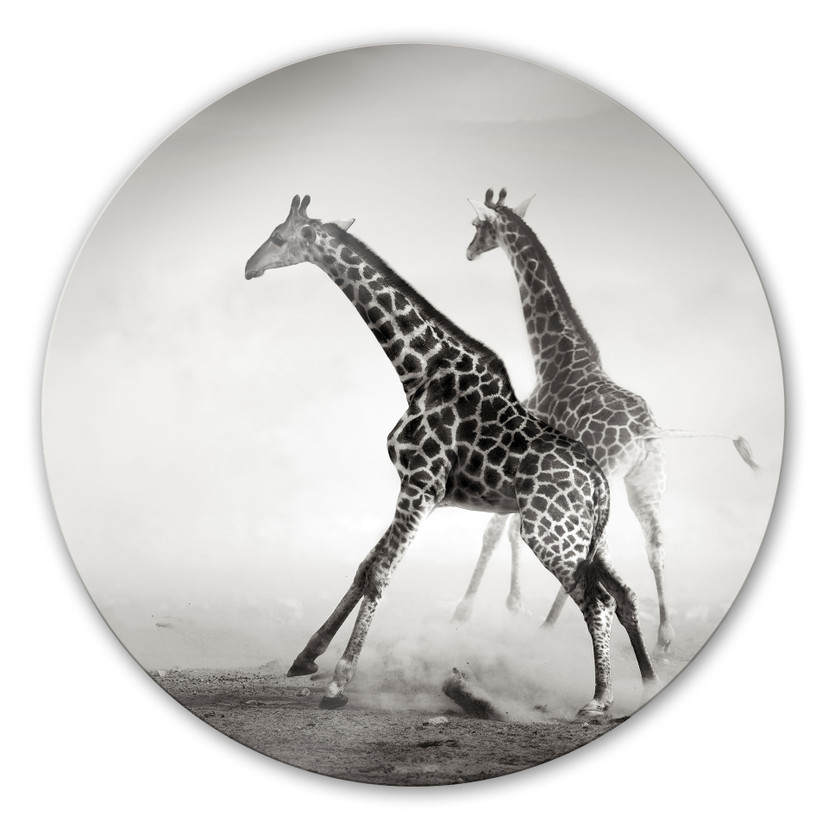 Tableau en verre - La fuite - rond