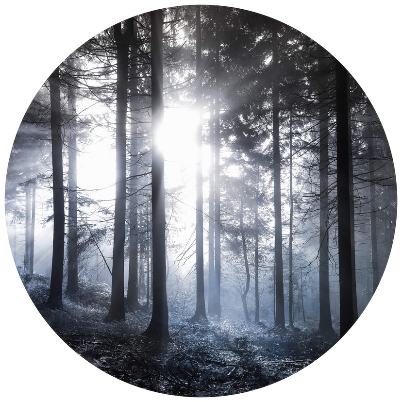 Fototapete Sonnenstrahlen im Wald Blau - Rund - Selbstklebend/Vlies