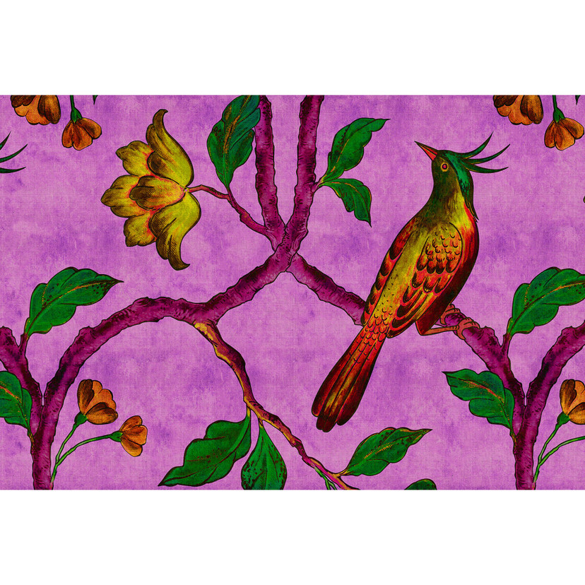 Livingwalls Fototapet Walls by Patel 2 bird of paradise 2