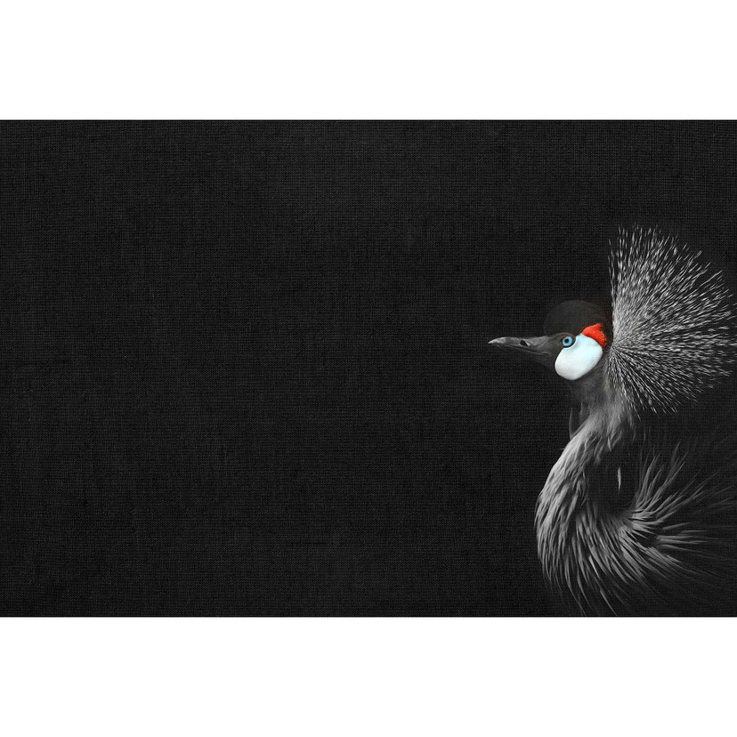 Livingwalls Fotobehang ARTist Crowned Crane