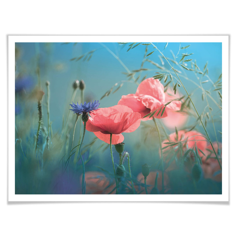 Plakat Delgado - Wildflowers Aquamarine