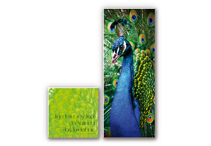 Tableau Forex - Dans chaque créature de la Nature (2 pièces)
