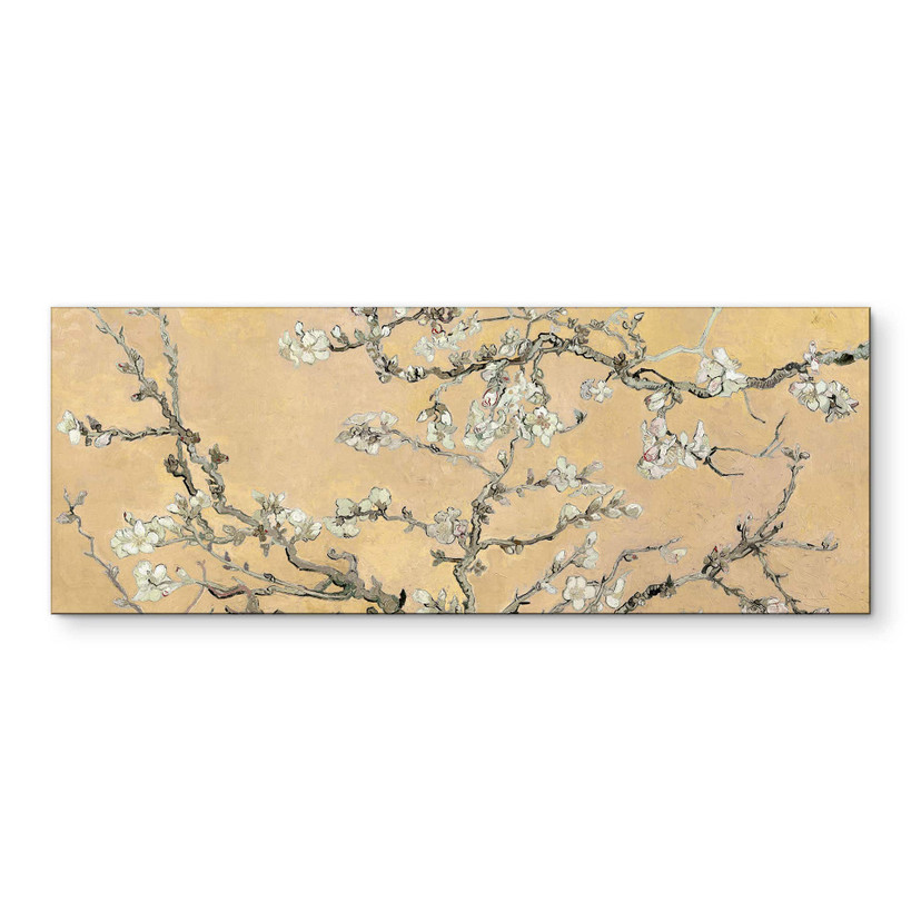 Wandbild van Gogh - Mandelblüte - creme - Panorama - Alu-Dibond
